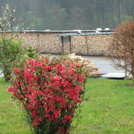 Haus Steirer Am Kaiserwald Unterpremstätten Extérieur photo